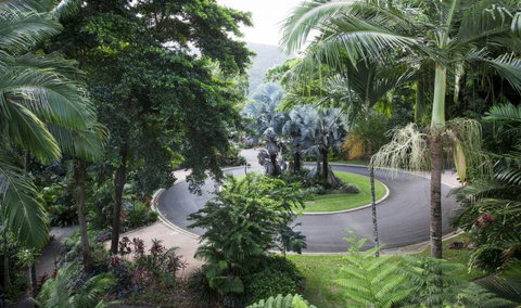 Oasis At Palm Cove - Accommodation Gold Coast 7