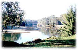 Corowa Golf Club Motel - Accommodation Gold Coast 0