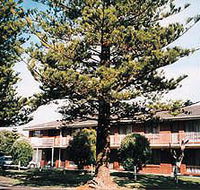 Eastern Beach Holiday Units - Gold Coast 4U