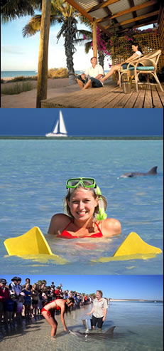 Monkey Mia WA Accommodation Gold Coast