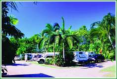 Tropical Hibiscus Caravan Park - Accommodation Gold Coast 0