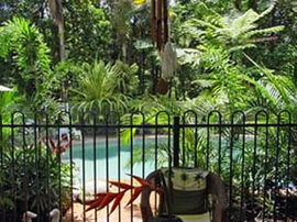 Daintree Rainforest Retreat Motel - Accommodation Gold Coast 0