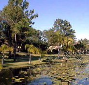 Twin Lakes Hotel - Accommodation Gold Coast