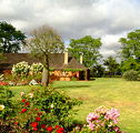 Houghton Winery - Accommodation Gold Coast