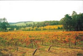 Byramgou Park - Accommodation Gold Coast 0