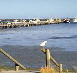 Seaview Motel and Holiday Units - Accommodation Gold Coast