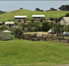 Ace Hi Riding Ranch - Accommodation Gold Coast