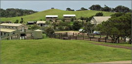Ace Hi Riding Ranch - Accommodation Gold Coast 0