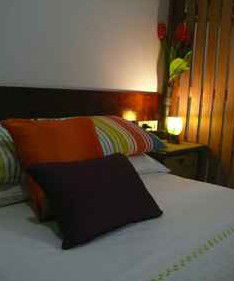 Daintree Rainforest Retreat Motel - Accommodation Gold Coast 3