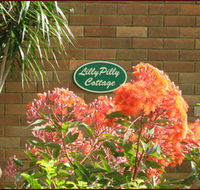 Lillypilly - Accommodation Gold Coast