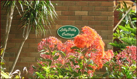 Lillypilly - Accommodation Gold Coast 0