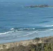 Beach Haven Apartments - Gold Coast 4U