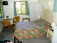 Kuranda Rainforest Accommodation Park - Accommodation Gold Coast 2
