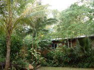 Kuranda Rainforest Accommodation Park - Accommodation Gold Coast 3