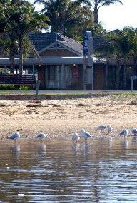 Best Western Coastal Waters Motor Inn - Accommodation Gold Coast 2