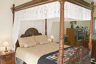 Pepper Tree Ridge B And B - Accommodation Gold Coast 3