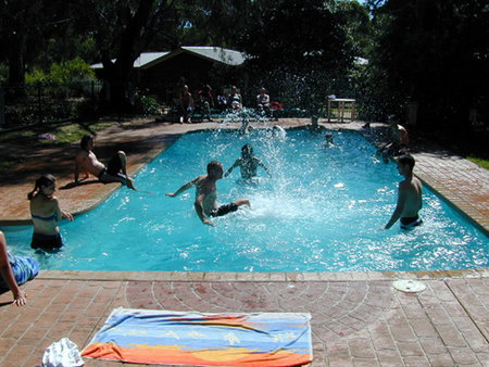 Koala Park Resort - Accommodation Gold Coast 1