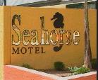 Seahorse Motel - Gold Coast 4U 1