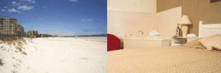 Buffalo Motor Inn - Accommodation Gold Coast 4