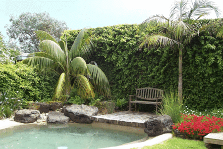 The Tropicana Motor Inn - Accommodation Gold Coast 2