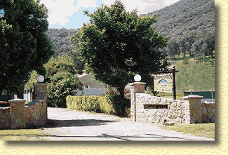 Willow Dene - Accommodation Gold Coast 1
