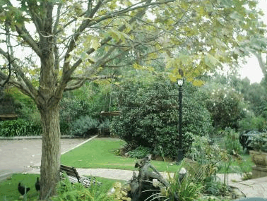 The Noble Grape - Accommodation Gold Coast 1