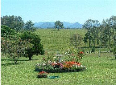 Tallowood Ridge Farmstay B - Accommodation Gold Coast 3