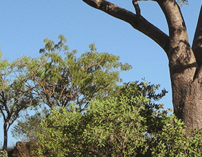Lakeview Apartments Kununurra - Accommodation Gold Coast 3