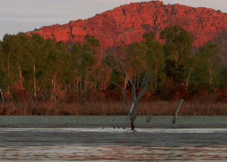 Lakeview Apartments Kununurra - Accommodation Gold Coast 4