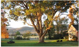 Belltrees Country House - Accommodation Gold Coast 2