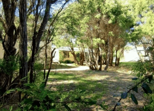 Peaceful Bay Chalets - Accommodation Gold Coast 4