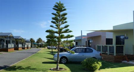 Discovery Parks -Adelaide Beachfront  - Accommodation Gold Coast 1