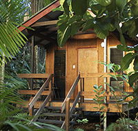 Cape Trib Beach House - Accommodation Gold Coast