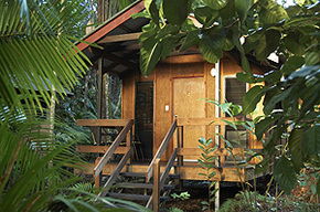 Cape Trib Beach House - Accommodation Gold Coast 0
