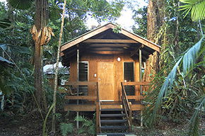 Cape Trib Beach House - Accommodation Gold Coast 3