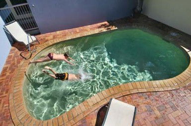 Belvedere Apartments - Accommodation Gold Coast 0