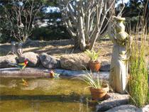Murray Gardens Motel And Cottages - Accommodation Gold Coast 2