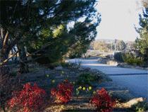Murray Gardens Motel And Cottages - Accommodation Gold Coast 3