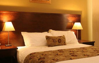 Whale Motor Inn - Accommodation Gold Coast 1