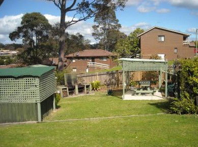 The Tree Motel - Accommodation Gold Coast 0