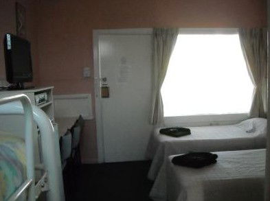 The Tree Motel - Accommodation Gold Coast 2