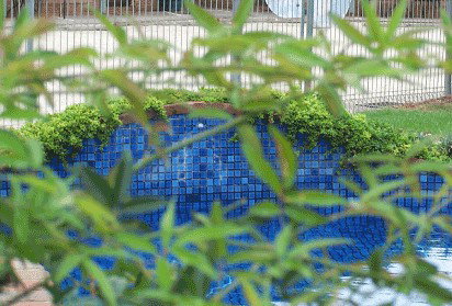 Arcadia Motor Inn - Accommodation Gold Coast 4