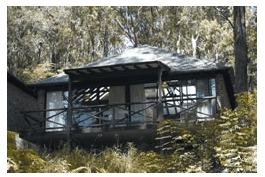 Treetops Resorts - Accommodation Gold Coast 2