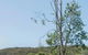 Merry Beach Caravan Park - thumb 2
