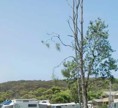 Merry Beach Caravan Park - Accommodation Gold Coast 2