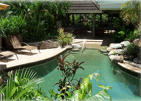 Cascade Gardens - Accommodation Gold Coast 1