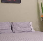 Stingo Hotel - Accommodation Gold Coast
