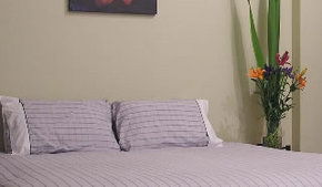 Stingo Hotel - Accommodation Gold Coast 0