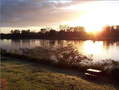 Colonial Court Motor Inn - Accommodation Gold Coast 2