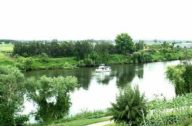 Windsor Terrace Motel - Accommodation Gold Coast 1